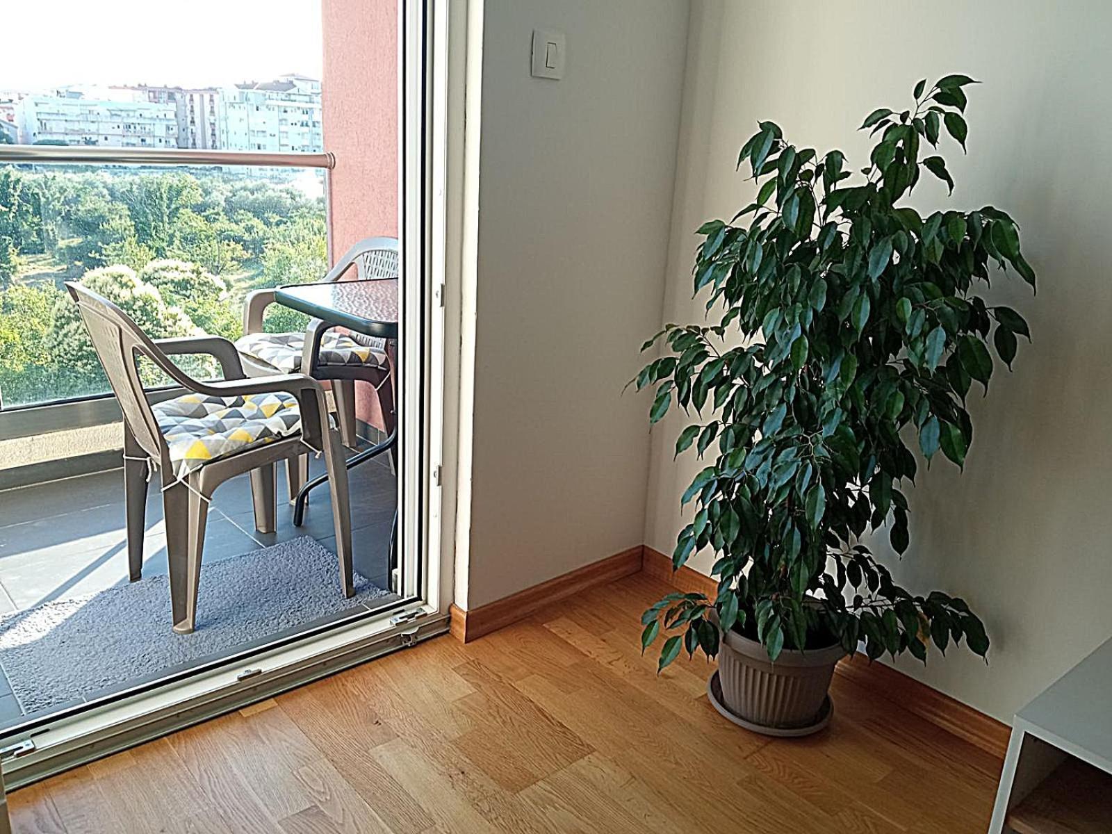 Aga Apartman Podgorica Exterior photo